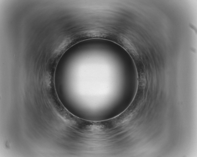 X0000099440255200805091319