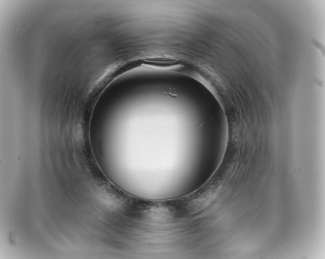 X0000099440256200805091319