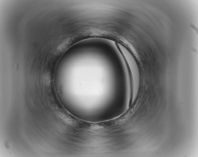 X0000099440257200805091319