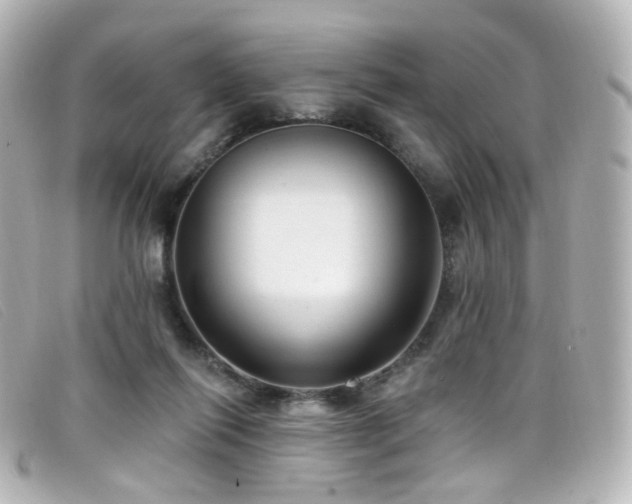 X0000099440262200805091319