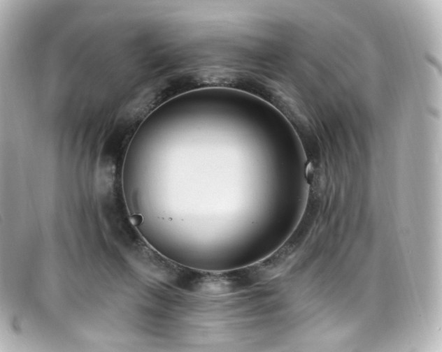 X0000099440263200805091319