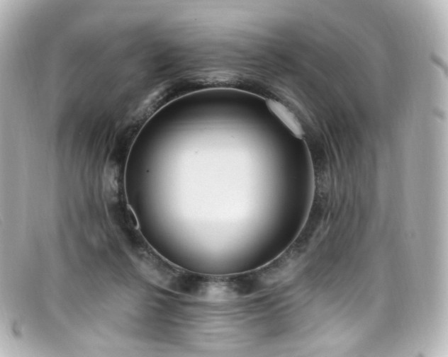 X0000099440264200805091319