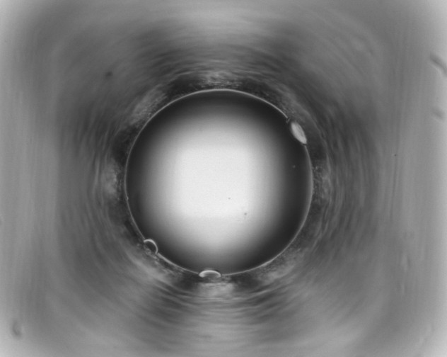 X0000099440266200805091319