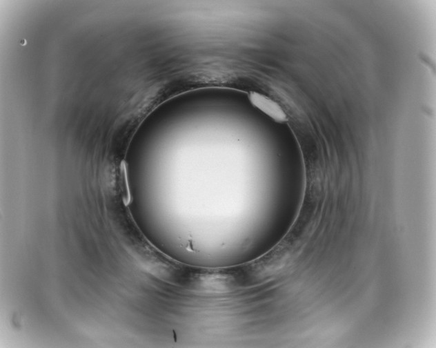 X0000099440268200805091319