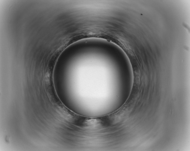 X0000099440269200805091319