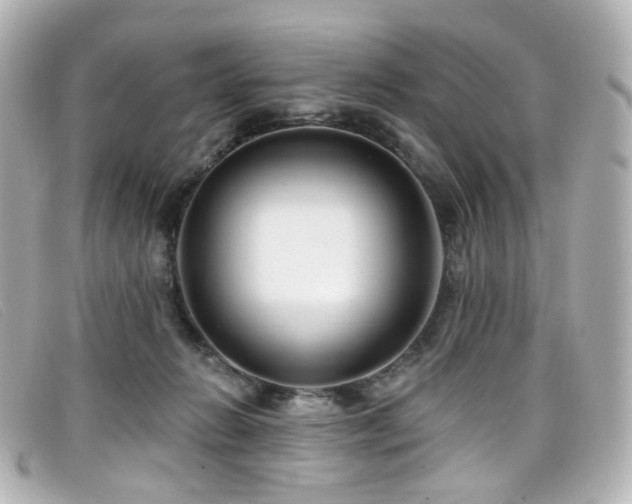 X0000099440270200805091319