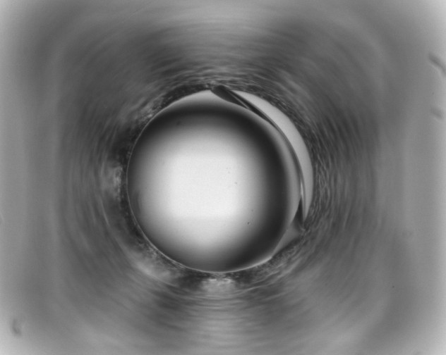 X0000099440271200805091319