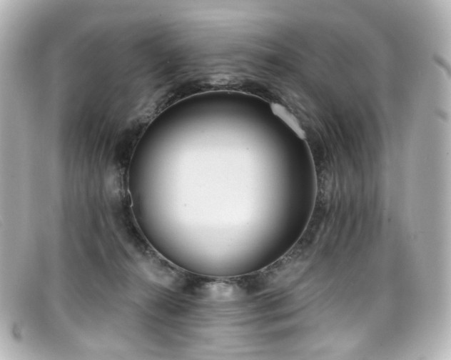 X0000099440272200805091319