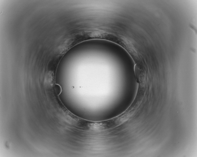 X0000099440273200805091319