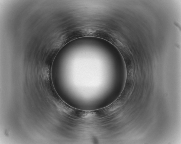 X0000099440274200805091319