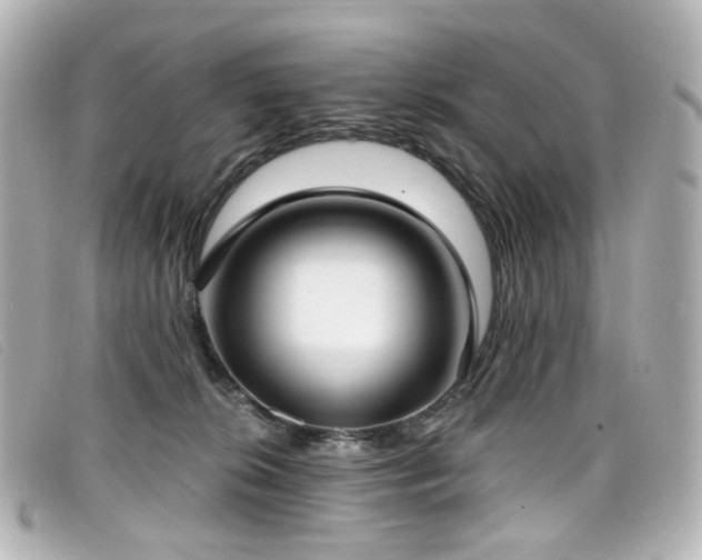 X0000099440276200805091319