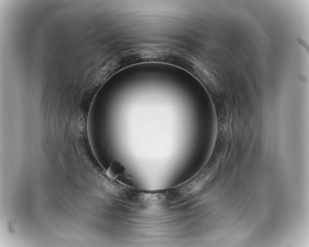 X0000099440277200805091319
