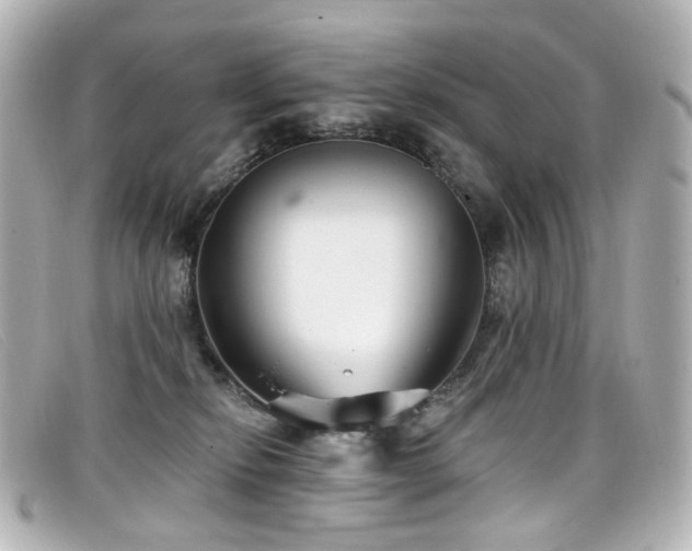 X0000099440278200805091319