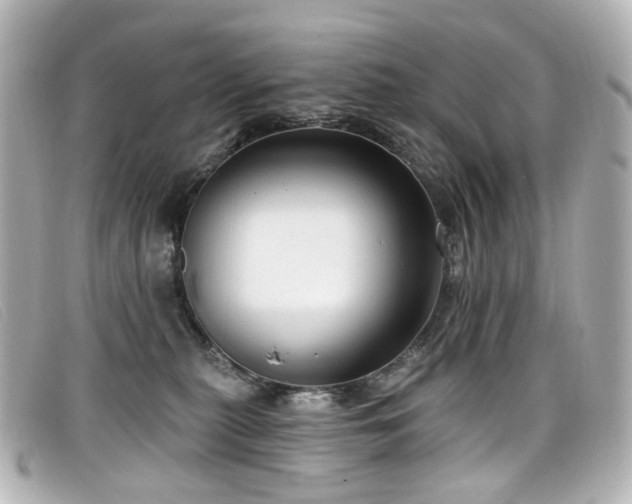 X0000099440279200805091319