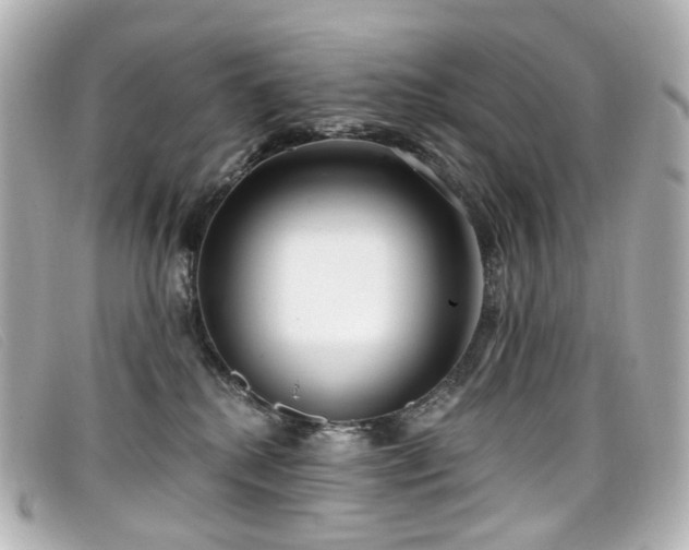 X0000099440280200805091319