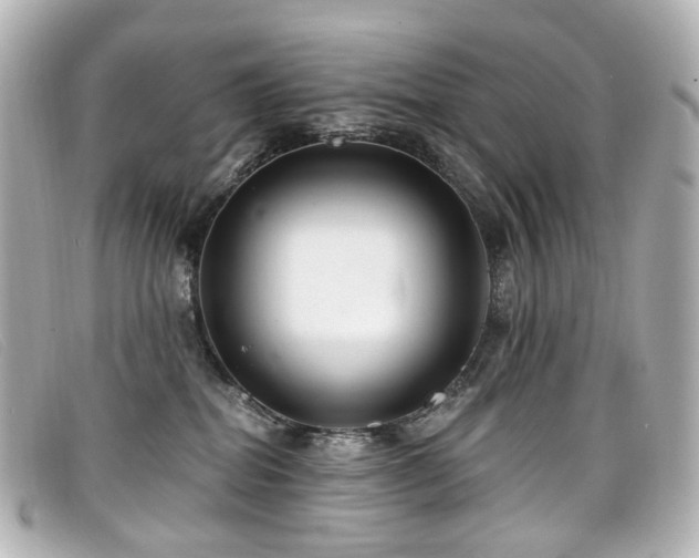 X0000099440282200805091319