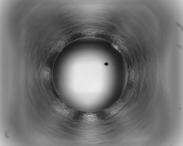 X0000099440283200805091319