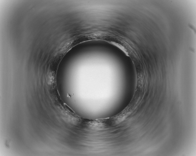 X0000099440284200805091319
