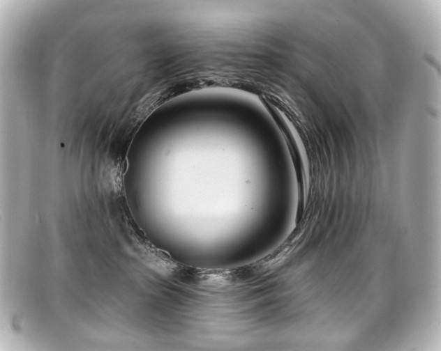 X0000099440285200805091319