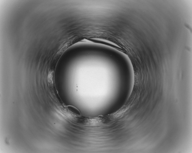 X0000099440286200805091319