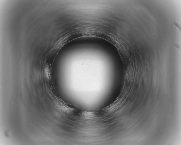 X0000099440287200805091319