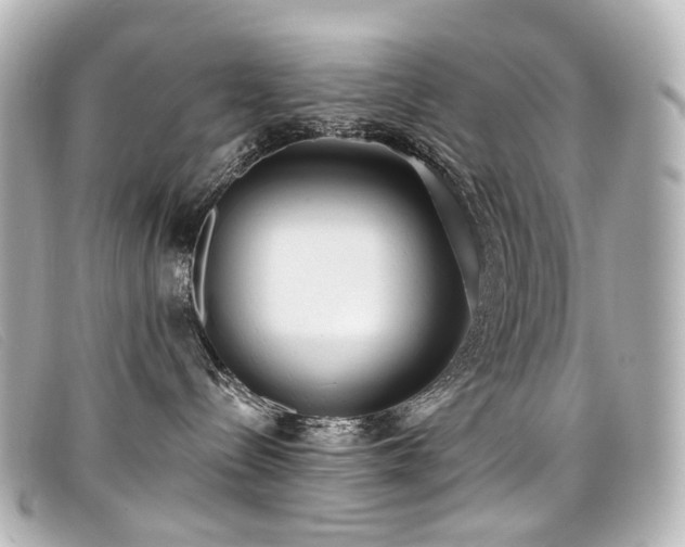 X0000099440288200805091319