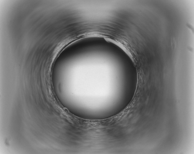 X0000099440289200805091319