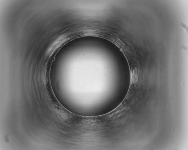 X0000099440291200805091319