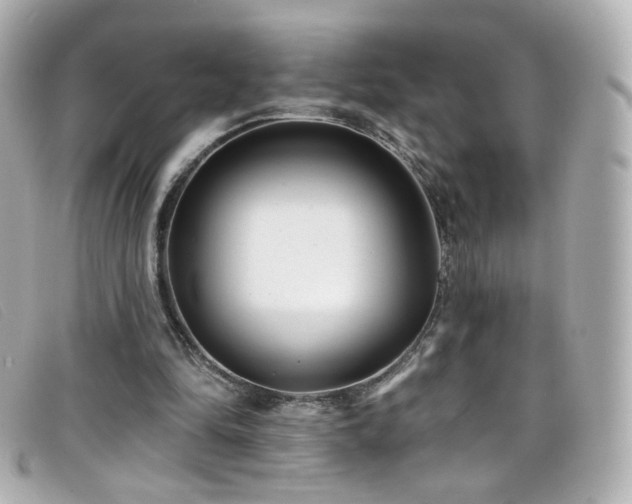 X0000099440294200805091319