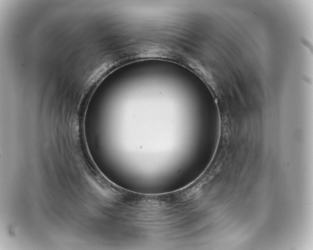 X0000099440298200805091319