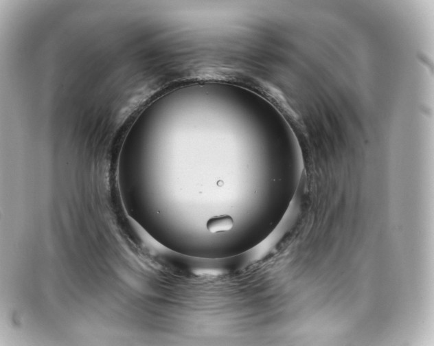 X0000099440299200805091319