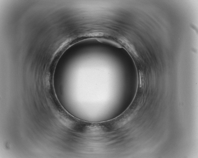 X0000099440300200805091319