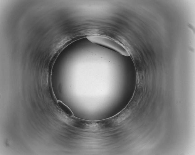 X0000099440301200805091318