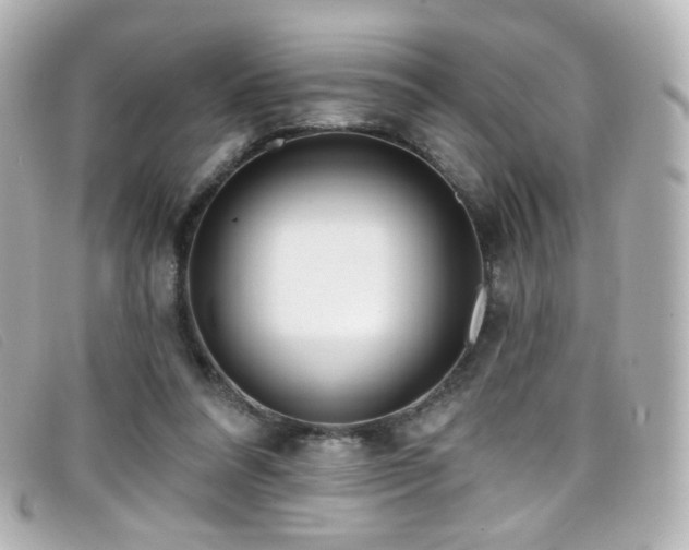 X0000099440304200805091318