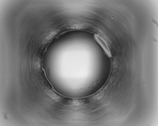 X0000099440305200805091318