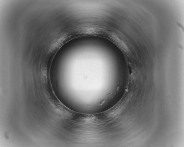 X0000099440306200805091318