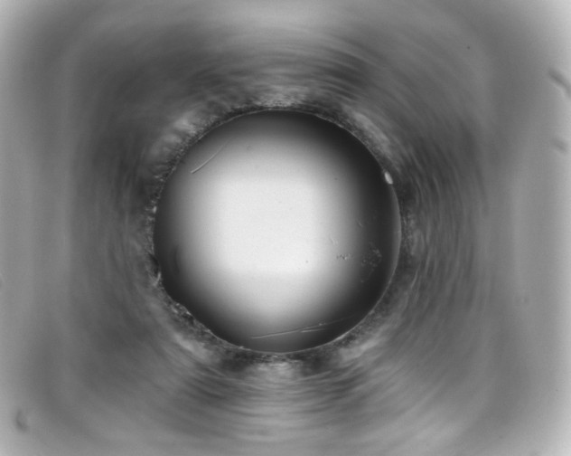 X0000099440307200805091318