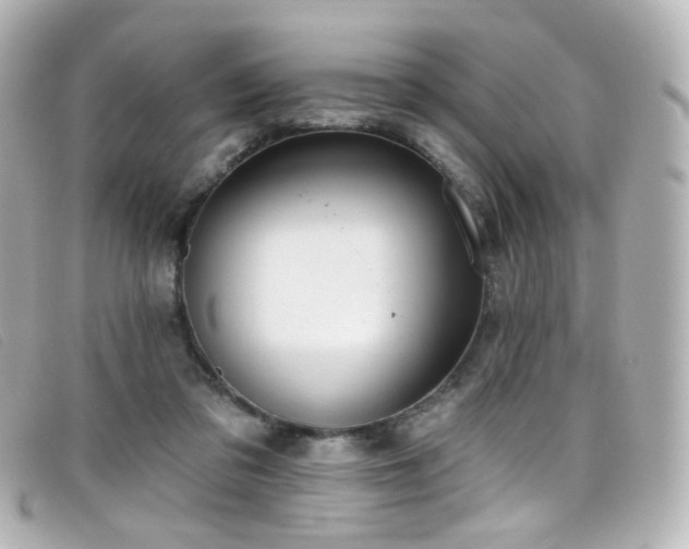 X0000099440309200805091318