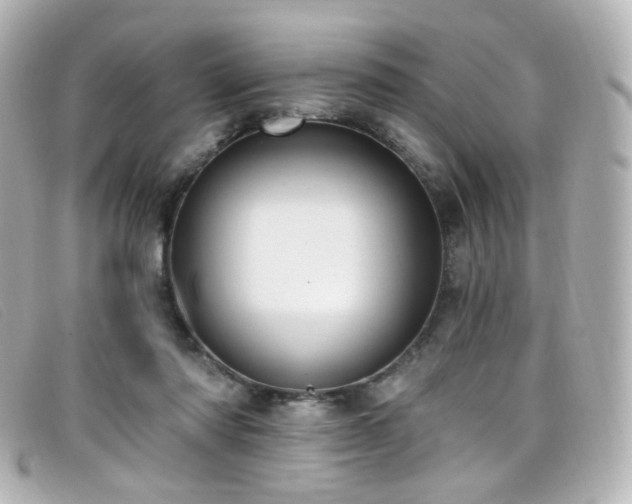 X0000099440310200805091318