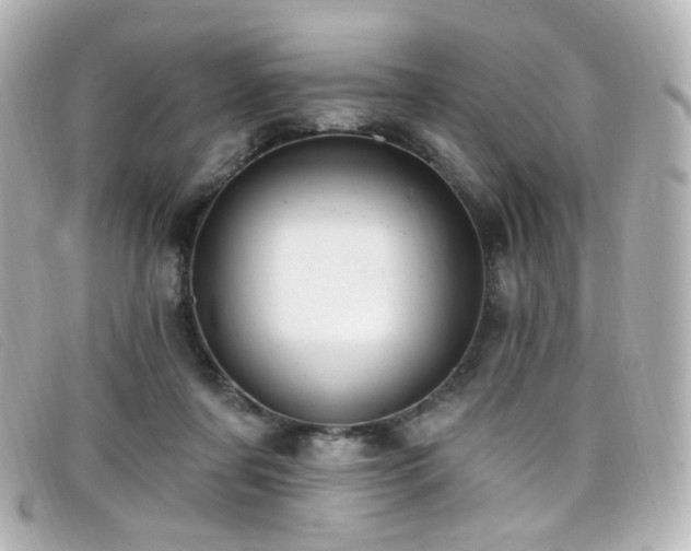 X0000099440311200805091318