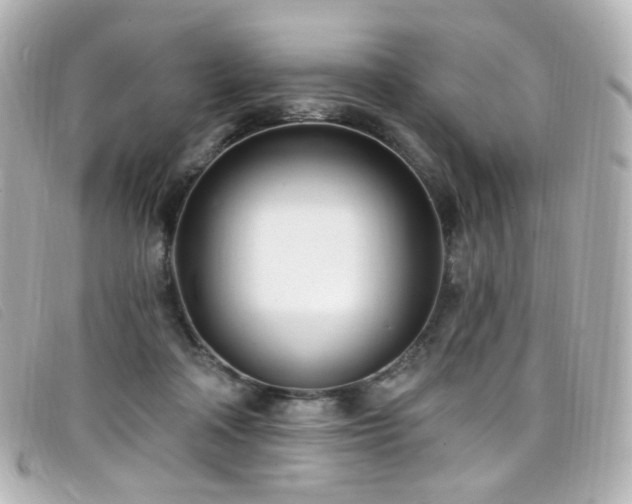 X0000099440314200805091318