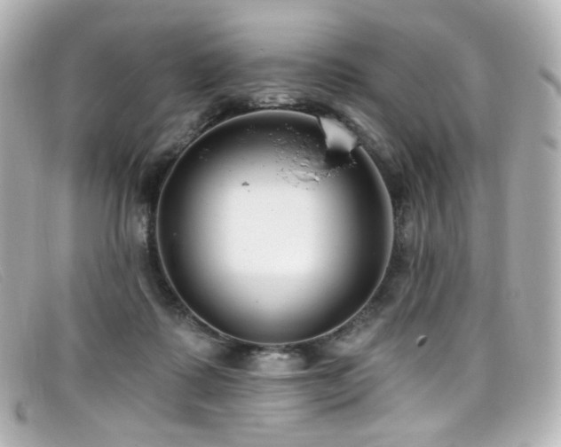 X0000099440315200805091318