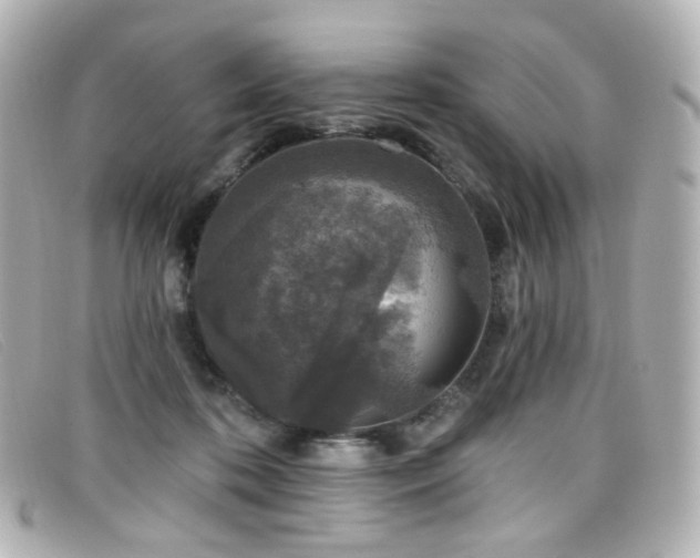 X0000099440316200805091318