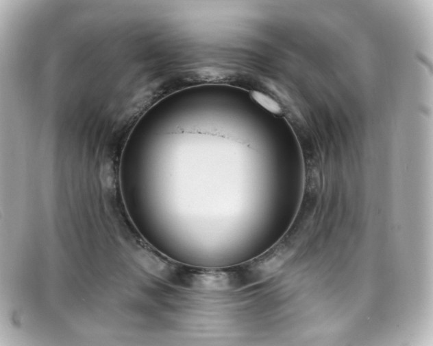 X0000099440317200805091318