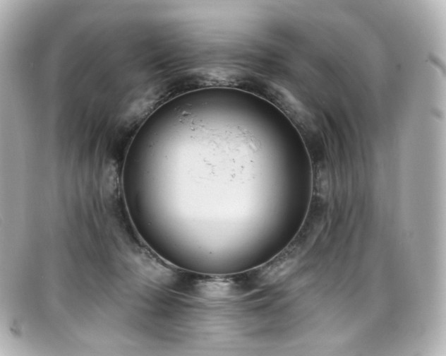 X0000099440318200805091318