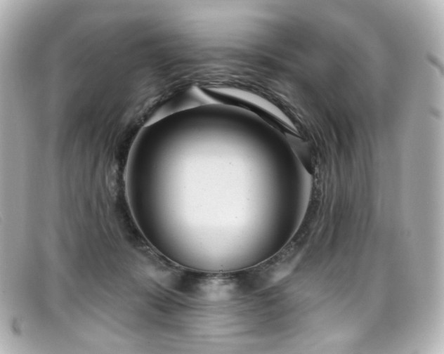 X0000099440319200805091318