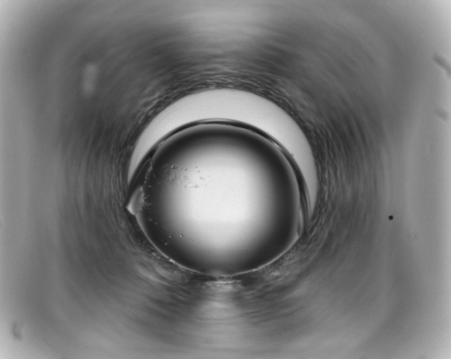 X0000099440320200805091318
