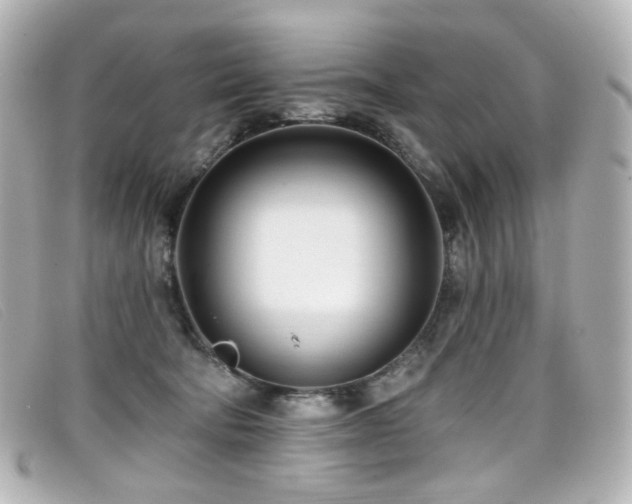 X0000099440322200805091318