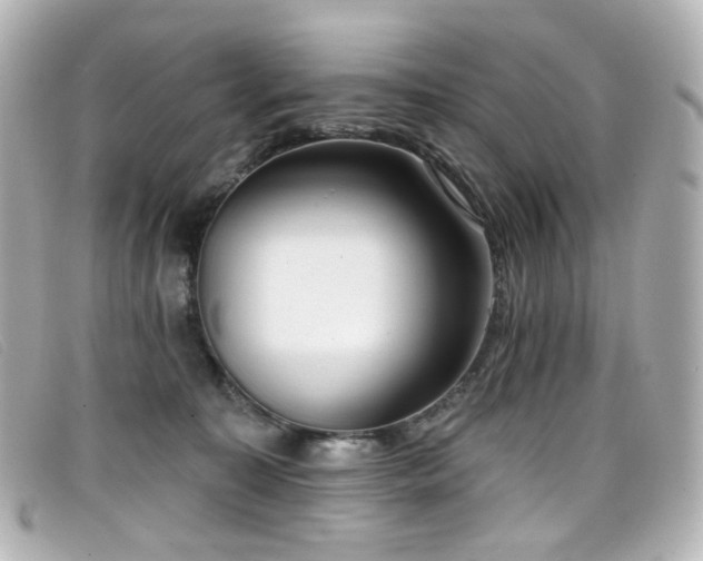 X0000099440323200805091318