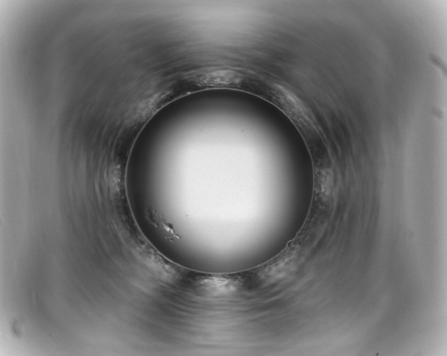 X0000099440326200805091318
